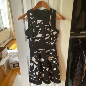 Banana Republic Skater Dress